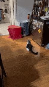 a cat is standing on a wooden floor in front of a refrigerator