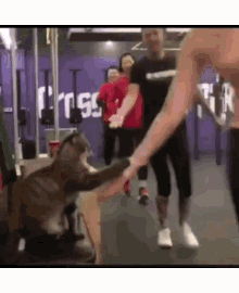 Running Give Me Five GIF - Running Give Me Five Hands GIFs