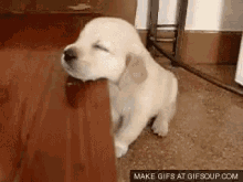 Sleepy Puppy GIF - Sleepy Puppy Cute GIFs