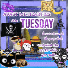 a pirate life greeting card that says avast me hearties it 's tuesday