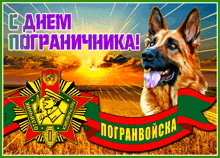 a picture of a german shepherd with a banner that says " pogranboiska "