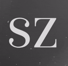 Solidzero GIF - Solidzero GIFs