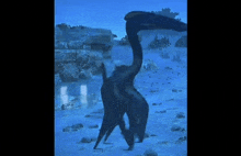 Dinosaur Spinning GIF