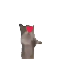 a cat with its arms outstretched has a red heart on its chest