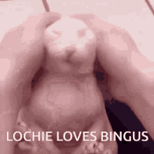 Lochie Bingus GIF - Lochie Bingus GIFs