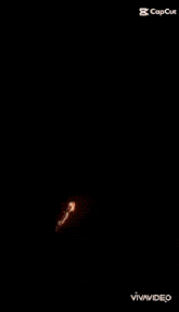 a dragon is surrounded by flames on a black background ..