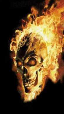 skull flame