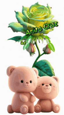 two teddy bears are sitting in front of a green rose with the name anita cruz written on it