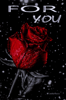For You Flower GIF - For You Flower Rose GIFs