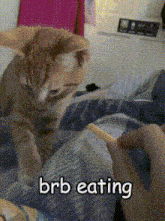 Brb Eating George Eating Crisps GIF - Brb Eating George Eating Crisps Romeo Is There Too GIFs