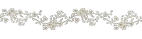 a line of flowers and leaves with a white background