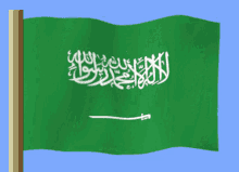 Suudi Arabistan GIF - Suudi Arabistan GIFs