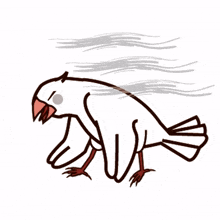 animal bird cute tired exhausted animal bird cute tired exhausted