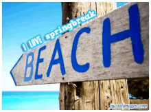 beach spring break going to the beach gone to beach beach sign