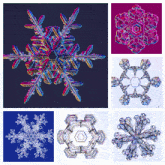 Snow Snowflakes GIF - Snow Snowflakes Webcaveman GIFs