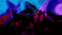 Cats Kitty GIF - Cats Kitty Meow GIFs