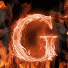GIF