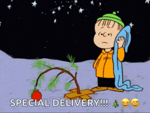 a cartoon of a boy standing next to a christmas tree with the words special delivery written below him