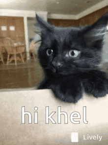 Hi Khel Cat GIF - Hi Khel Khel Cat GIFs