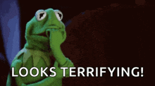 kermit the frog is covering his mouth with his hand and the words `` looks terrifying '' are written below him .