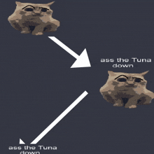Assthetunadown Pass The Tuna Down GIF - Assthetunadown Pass The Tuna Down Ass The Tuna Down GIFs