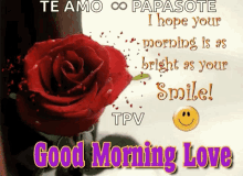 Good Morning My Love Morning GIF - Good Morning My Love Morning Roses GIFs