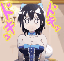 Blood Lad GIF - Blood Lad What GIFs