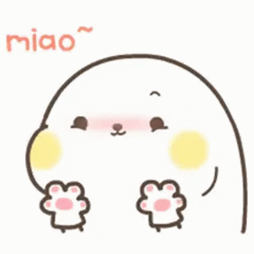 Seal Cat GIF - Seal Cat Grab GIFs