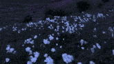 a field of white flowers is lit up in the dark
