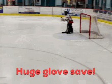 Huge Glove Save Hockey GIF