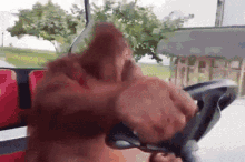 Tusareve Orangutan GIF - Tusareve Orangutan Driving GIFs