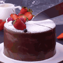 a chocolate cake with strawberries and blueberries and powdered sugar on top