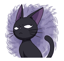 cat black