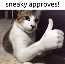 Approved GIF - Approved GIFs