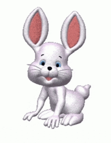 White Rabbit GIF - White Rabbit GIFs