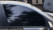 viper shnake francis higgins car window down streamer