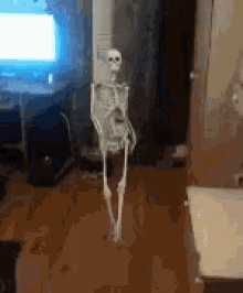 GIF