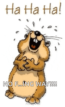 a cartoon hamster is laughing with the words `` ha ha ha ! ''