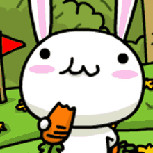 Rabbit Carrot GIF - Rabbit Carrot Eating GIFs