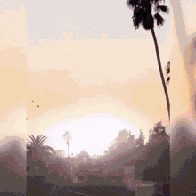 a palm tree is silhouetted against a cloudy sky at sunset