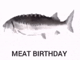 Meat Birthday Fish GIF - Meat Birthday Fish Fish Spin GIFs