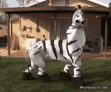 My Hooves Sian GIF - My Hooves Sian Tomgreen GIFs