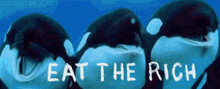 three killer whales are standing next to each other with the words eat the rich above them