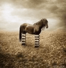 a horse with springs in its legs is standing in a field .