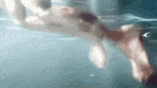 a person is swimming underwater in a pool .