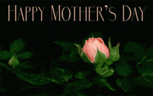 a pink rose with the words happy mother 's day below it