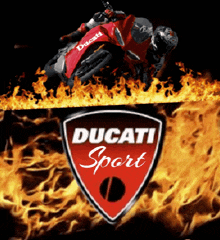 a ducati sport logo with a person on a motorcycle