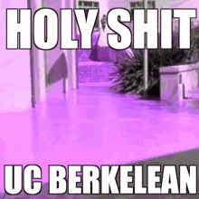 Uc Berkelean GIF - Uc Berkelean GIFs