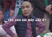 Ngựa Meme