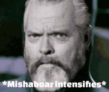 Mishaboar Intensifies Tylermilgate GIF - Mishaboar Intensifies Tylermilgate Mishaboar GIFs